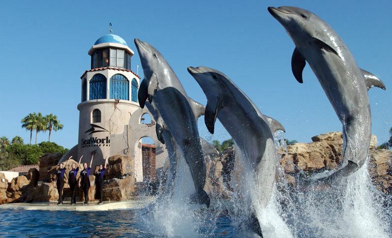 Holiday Inn San Antonio Northwest- Seaworld Area By Ihg Ngoại thất bức ảnh